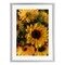 Stupell Industries Bunches of Garden Sunflowers Framed Print Under Glass, design by Kim Allen